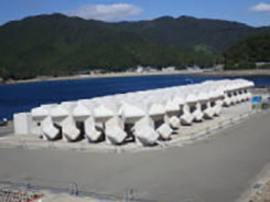 Ｈ２６波土　由岐漁港（志和岐地区）他　美波・志和岐